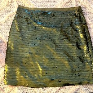 *LOFT* [NWT] Skirt